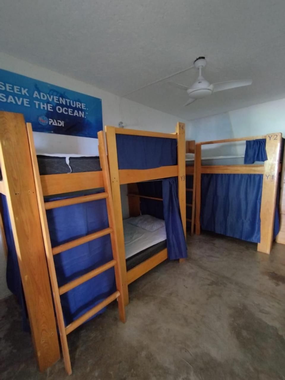 Blue Magic Hostel كوزوميل المظهر الخارجي الصورة