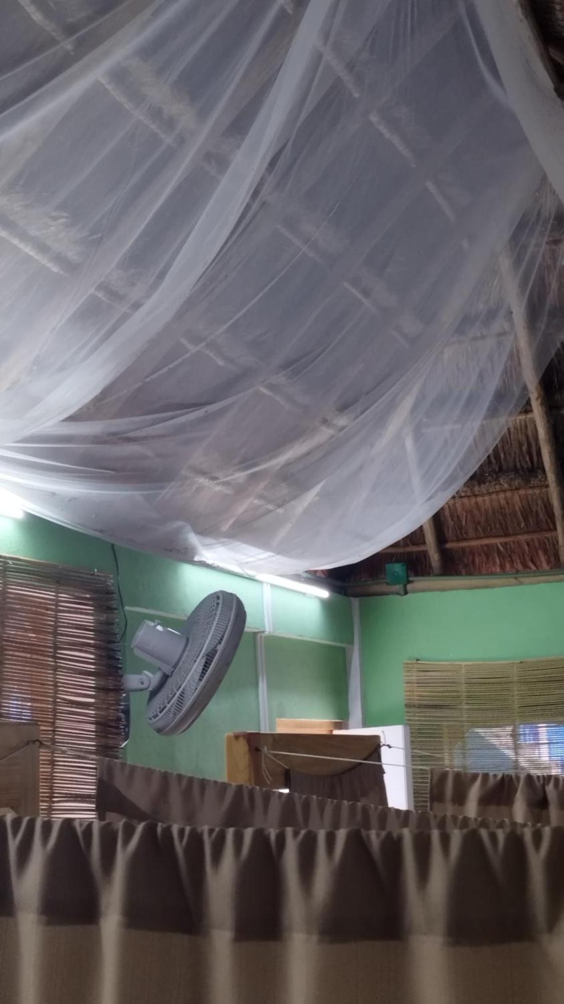 Blue Magic Hostel كوزوميل المظهر الخارجي الصورة