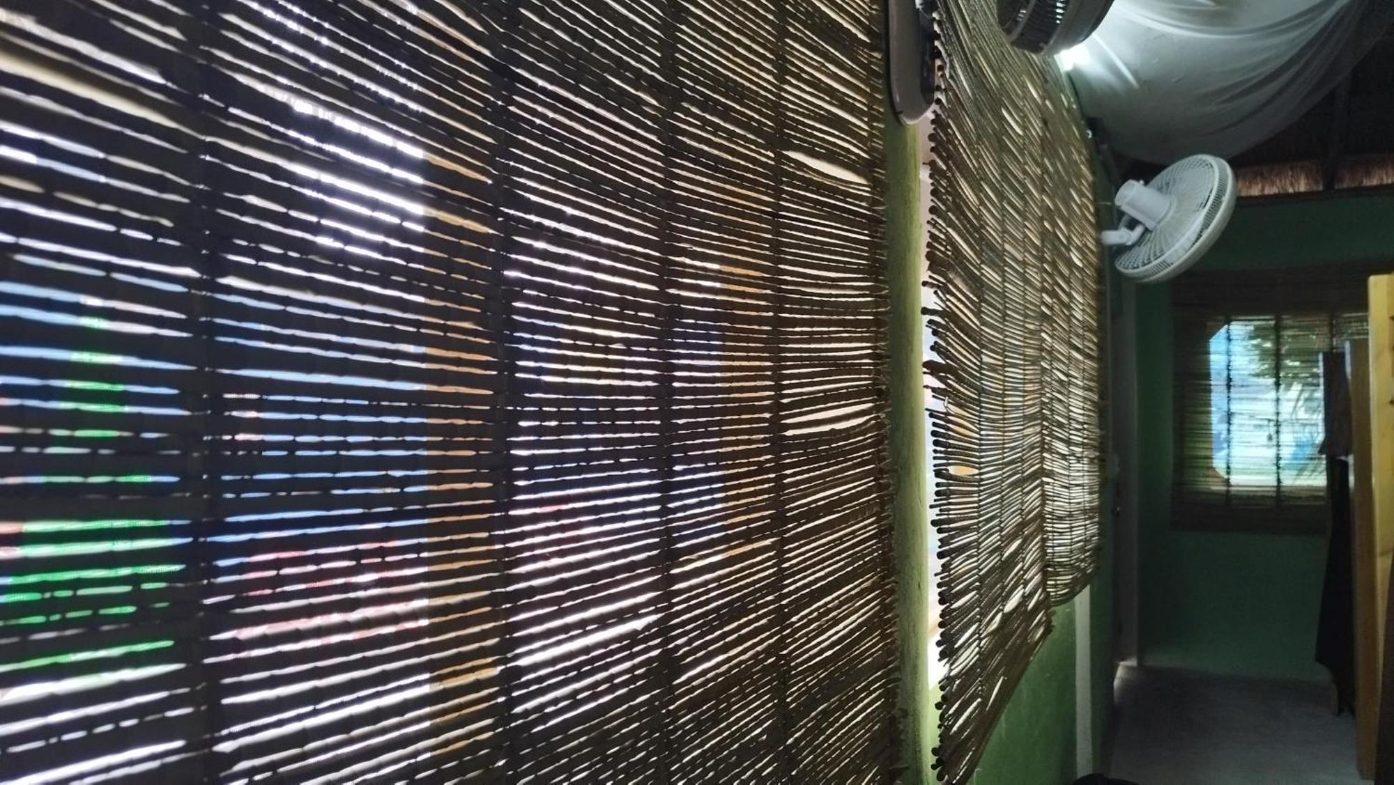 Blue Magic Hostel كوزوميل المظهر الخارجي الصورة